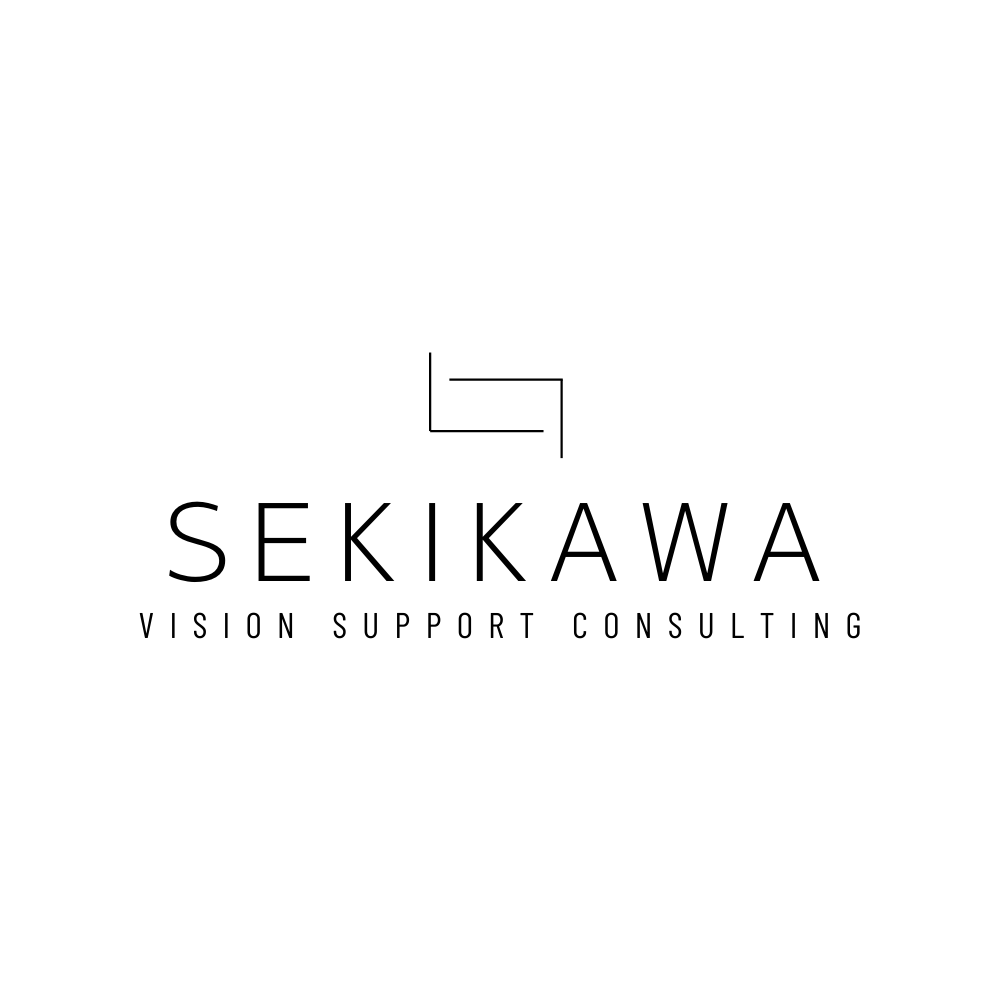 Sekikawa vision support consulting